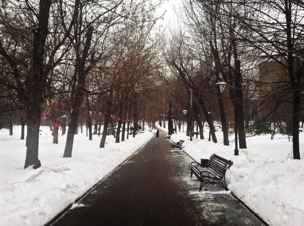 冬季道路雪凳图片下载