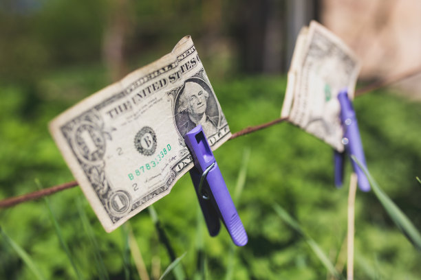 美元挂在户外的衣钩上。在阳光明媚的日子里，钱在绿色的院子里晾晒在衣服别针上。贫困经济状况照片。图片下载