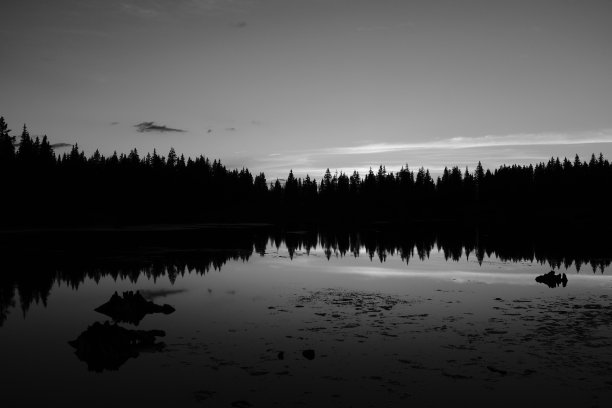 摘要林木线图片下载