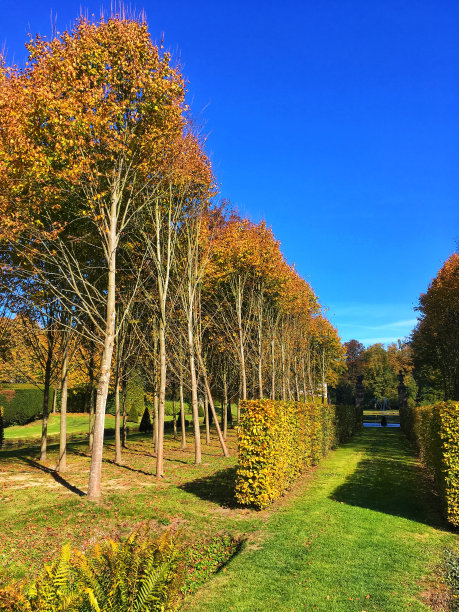 秋天美丽的大自然图片下载