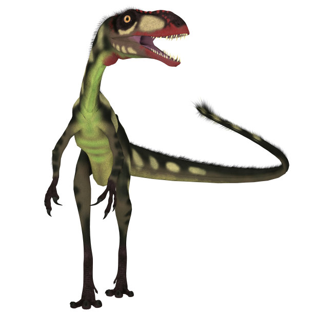 地龙恐龙面前图片下载