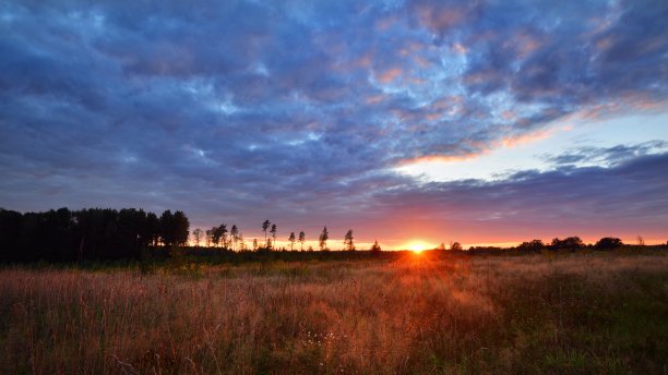 农村地区的日落图片下载