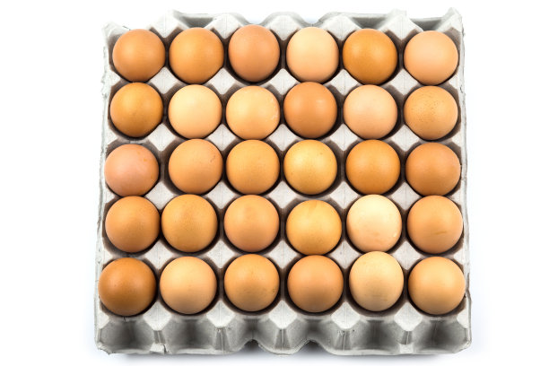 鲜鸡蛋在包装中隔离图片下载