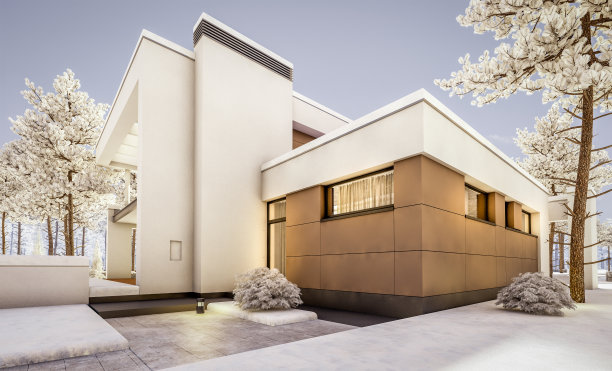 现代舒适的房子的3d渲染凉爽的冬季晚上图片下载