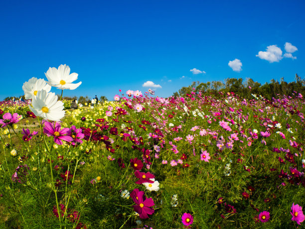 宇宙领域图片下载