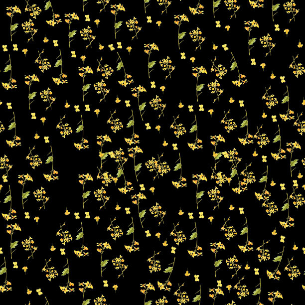 甘蓝型油菜黑色水彩无缝图案插图。背景贺卡，请柬，和其他打印项目图片下载