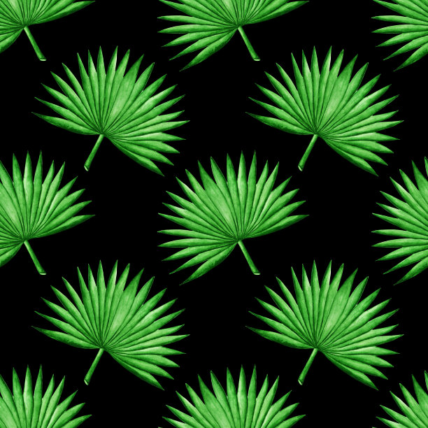 水彩无缝图案与绿色棕榈叶图片下载