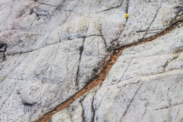 白色大理石粘性污垢粗糙的表面是一个深沟。图片下载