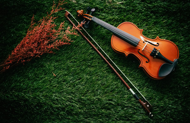 木琴的抽象艺术设计背景放在绿草的底层图片下载