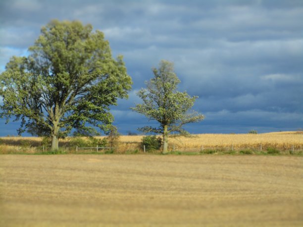 黄色、绿色和蓝色是秋天的颜色图片下载