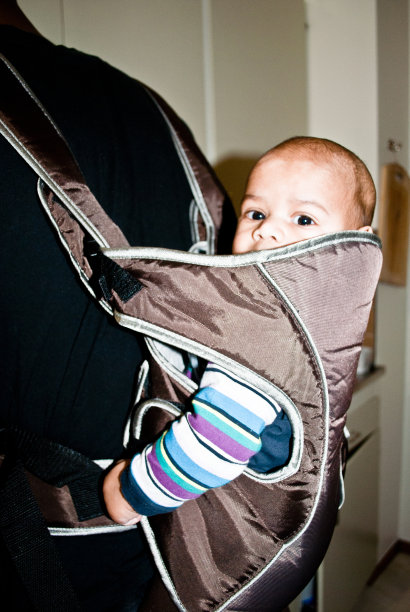 看着摄像机的猪背宝宝图片下载