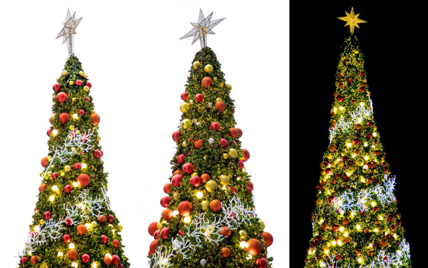 孤立闪亮装饰的圣诞树群图片下载