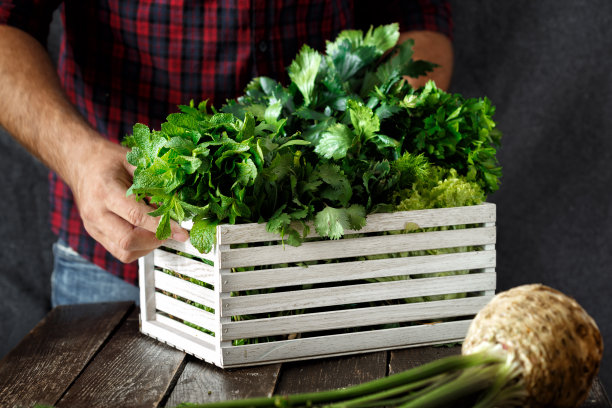 农民新鲜药草木箱暗背景收获图片下载