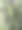 蛛网上的露珠图片下载