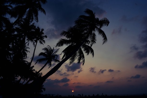 马尔代夫美丽的日落图片下载