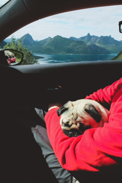 在挪威，一名男子带着睡着的狗在汽车上看山图片下载