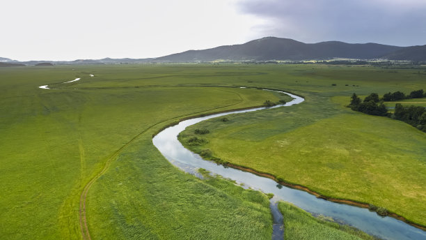 草木景观图片下载