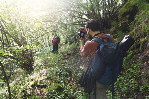 捕捉自然图片下载