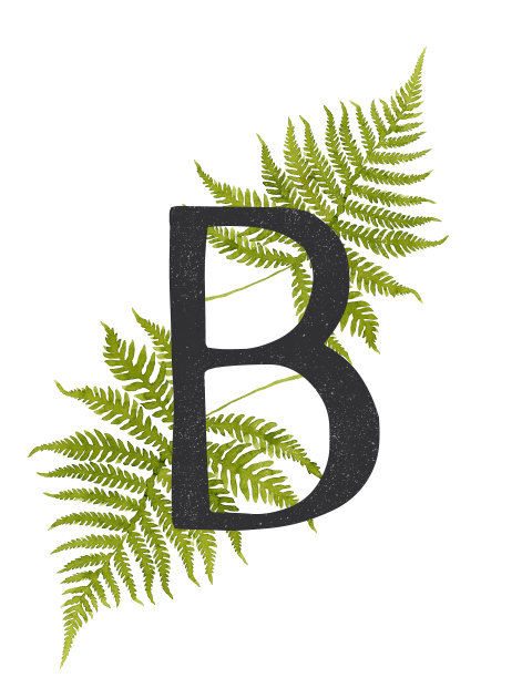 黑色字母B与绿色水彩蕨交织图片下载