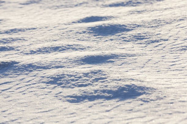 冬天雪积起来图片下载