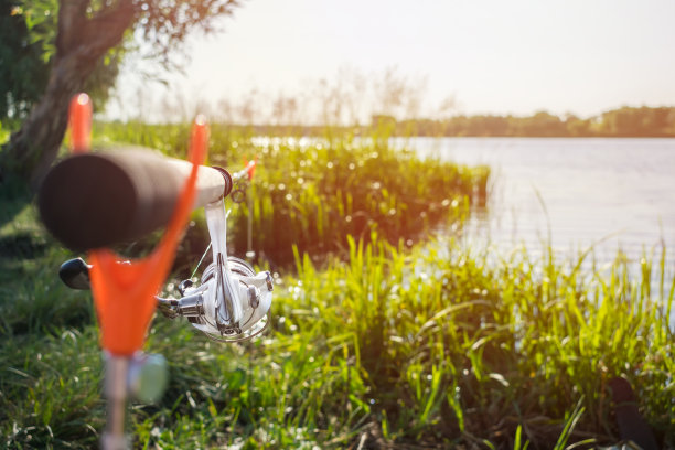 用绿色的芦苇和阳光将鱼竿和卷筒装在河岸的支架上。渔夫的卷轴，安装在钓竿上。英国风格的馈线钓鱼。图片下载