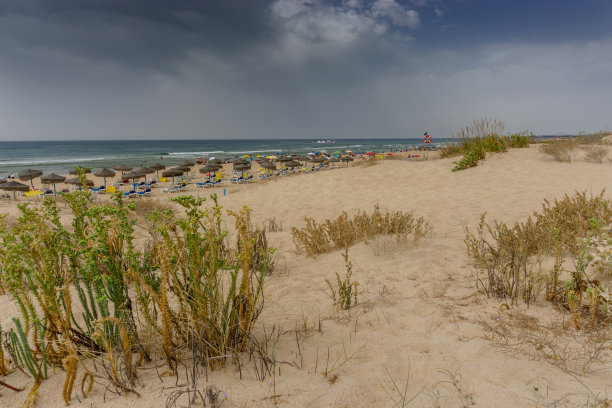 沙滩上的雨伞和椅子图片下载