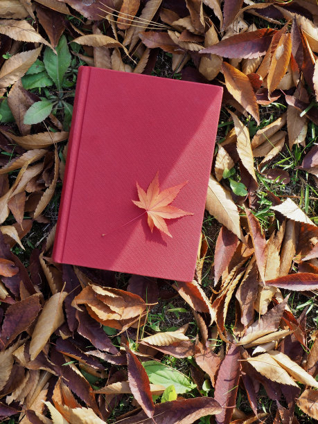 书和秋天的枫叶图片下载