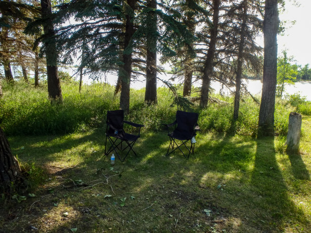 森林，地上有两把椅子图片下载