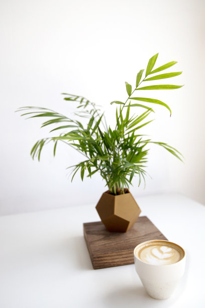 卡布奇诺和美丽的拿铁艺术在白色的桌子背景。图片下载