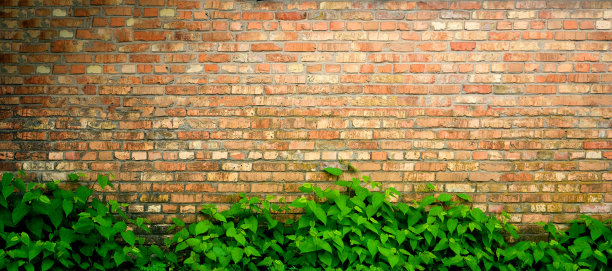 砖墙的纹理在绿色灌木丛的背景上图片下载