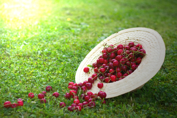 新鲜采摘的成熟樱桃戴着草帽躺在草地上。图片下载
