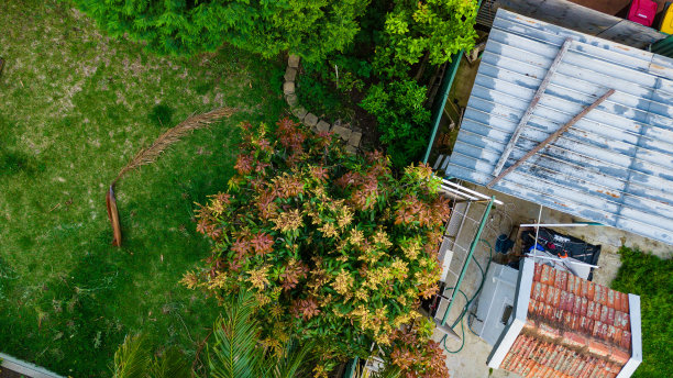 鸟瞰郊区图片下载