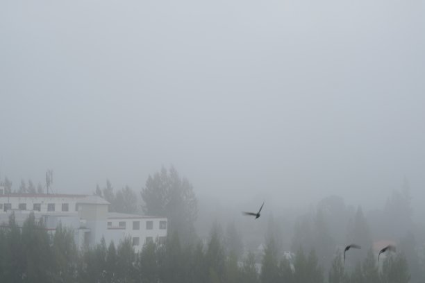 雾蒙蒙的天图片下载