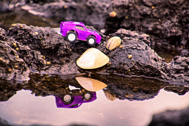 玩具车和贝类图片下载