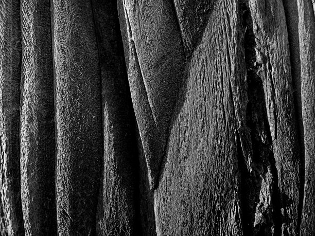 木质表面，纹理细腻图片下载