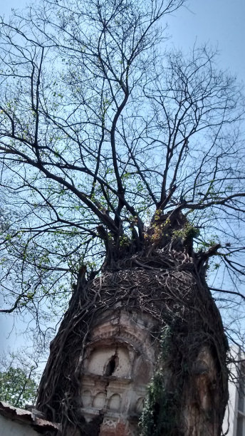 古老的建筑图片下载