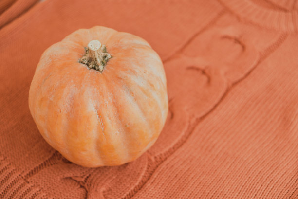 橙色的南瓜，橙色的针织毛衣图片下载