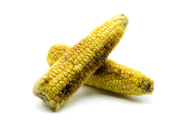 两个玉米棒上的烤玉米孤立在白色背景上图片下载