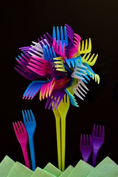 棕榈树图片下载