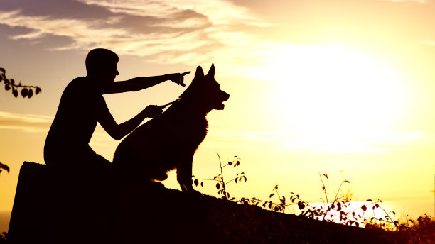 一个年轻人的剪影与狗在日落的田野，男孩与他的宠物享受自然，男孩的侧面看向远处，积极的休闲概念图片下载