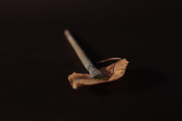 黑色背景，颜料和画笔图片下载