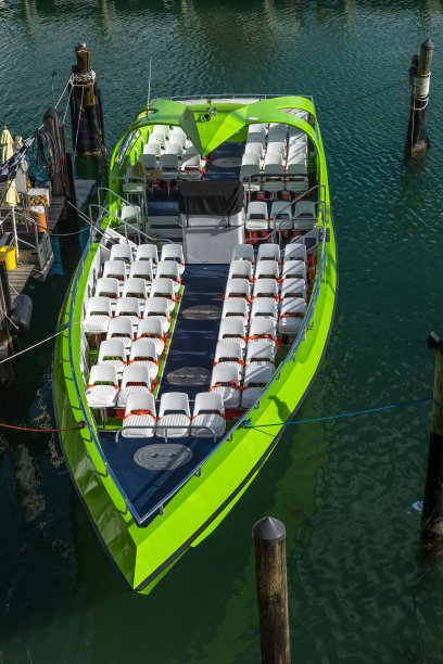 绿色的乐趣图片下载