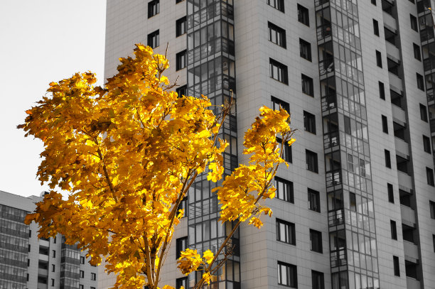 秋天天气颜色图片下载