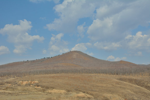 蓝天下的田野风景图片下载