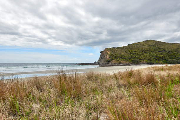 新西兰塔波图波图海滩全景图片下载