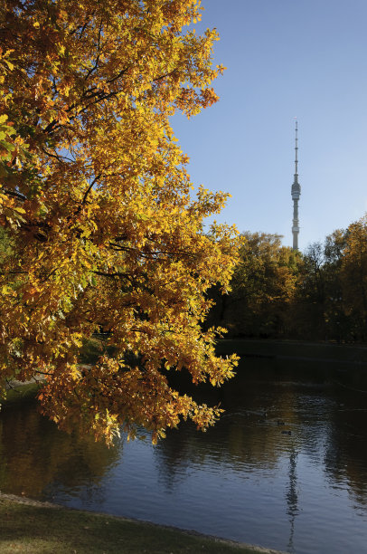 城市公园的秋天图片下载