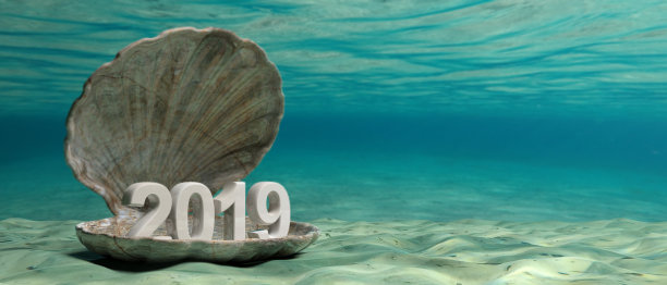 2019年新年在海底的一个牡蛎壳上。三维演示图片下载