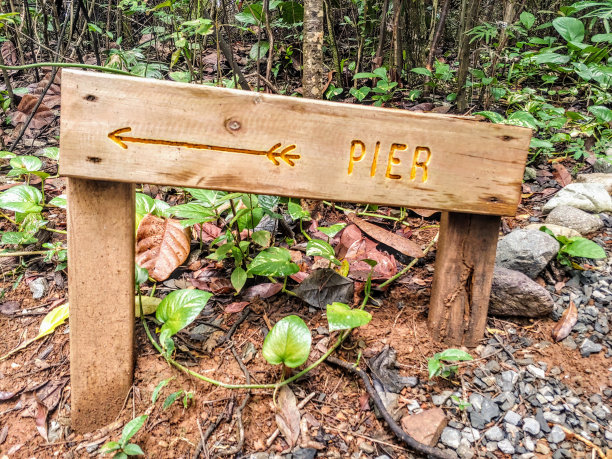 这艘船。图片下载