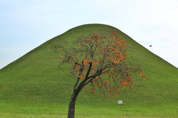 VH519 庆州古墓群图片下载