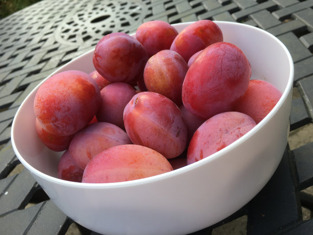 维多利亚李子碗图片下载